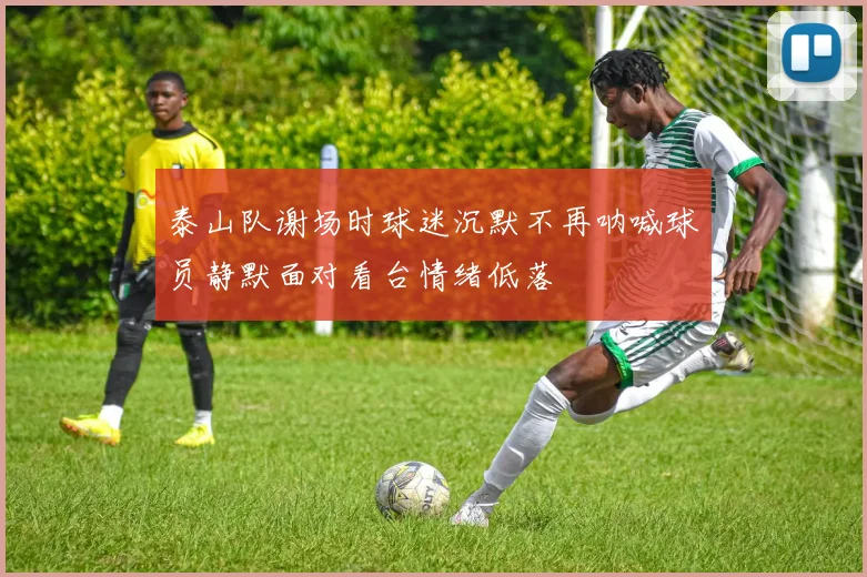 泰山队谢场时球迷沉默不再呐喊球员静默面对看台情绪低落